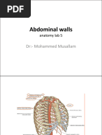 Anatomy of the Anterior Abdominal Wall | PDF | Abdomen | Vein