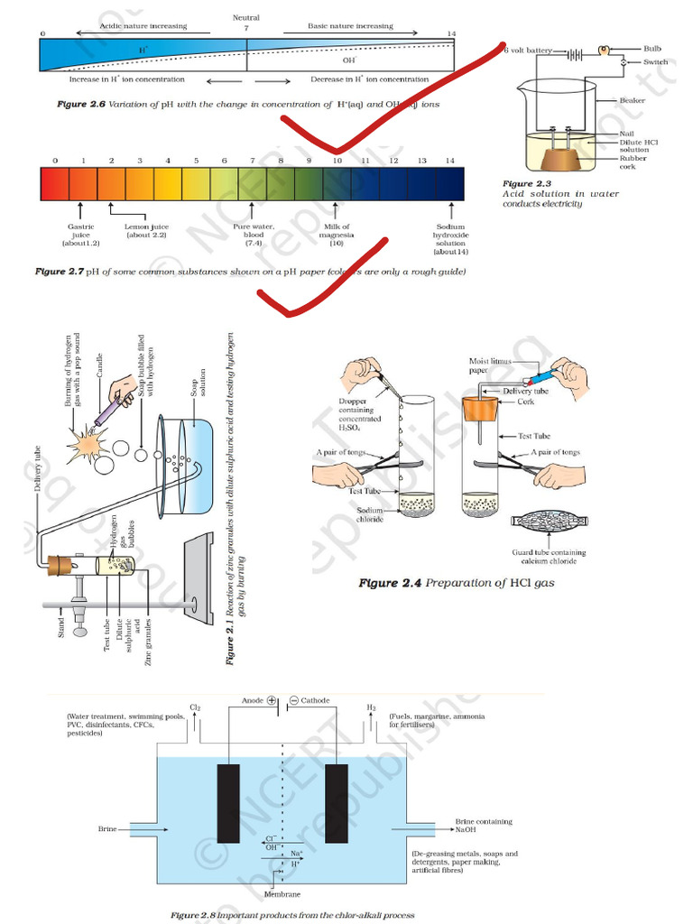 Science 10th | PDF