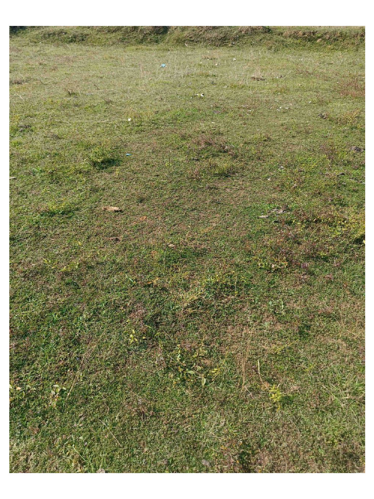 Land Photo | PDF