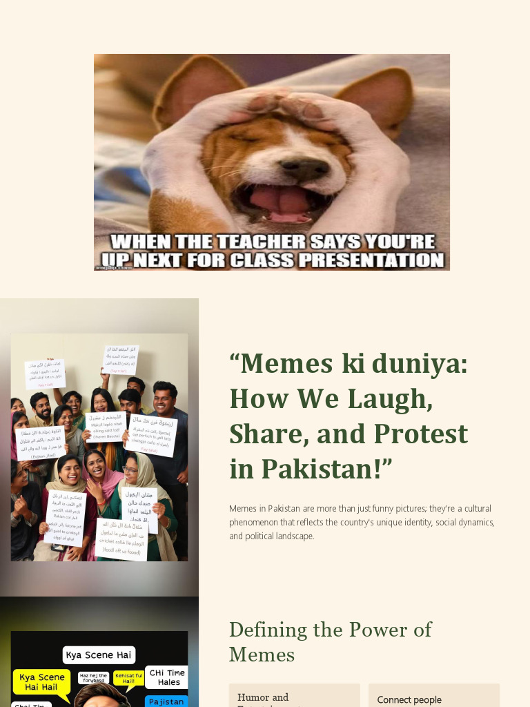 Memes Presentation | PDF | Humour | Social Media