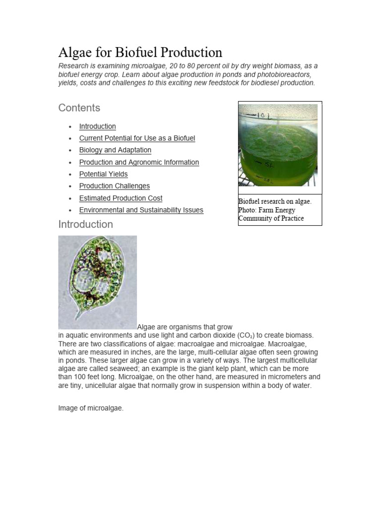 Algae For Biofuel Production | PDF | Algae Fuel | Biofuel