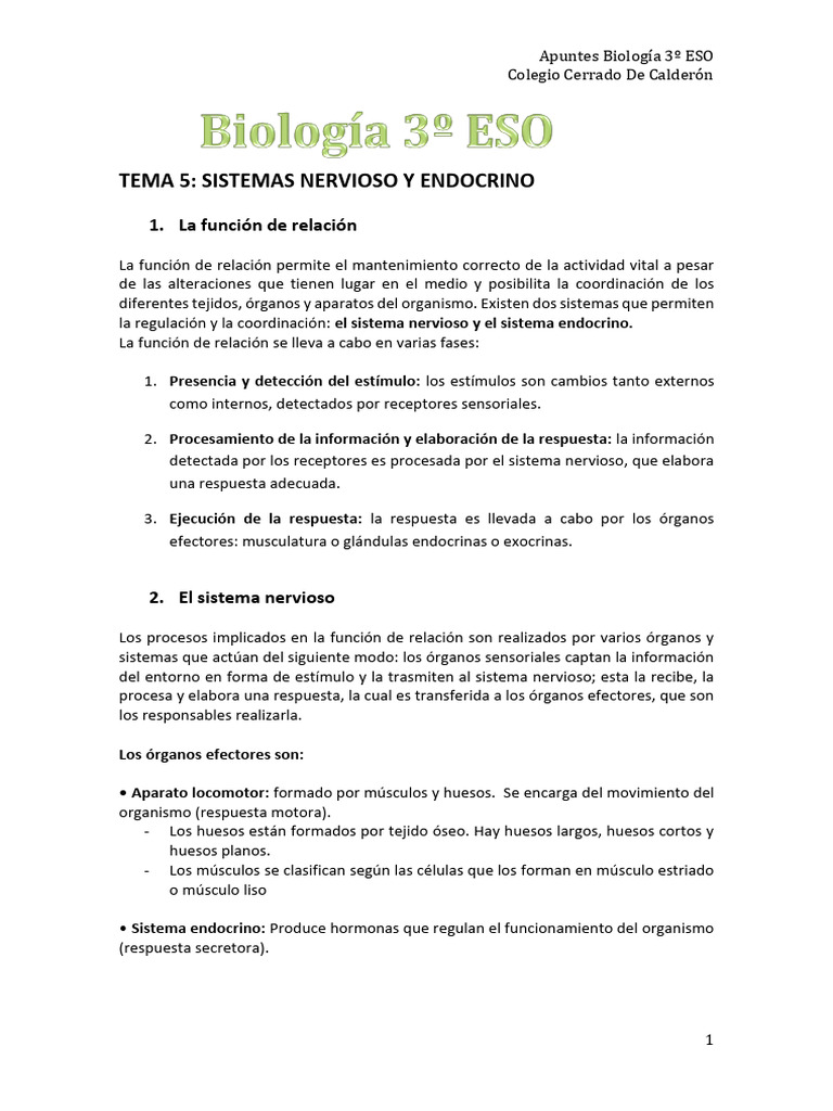 Apuntes - Tema 5 Y 6 - fUNCIÓN DE RELACIÓN EN ANIMALES | PDF | Sistema ...