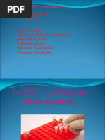 PCR Multiplex : Détection Efficace d'ADN | PDF | Réaction en chaîne par ...