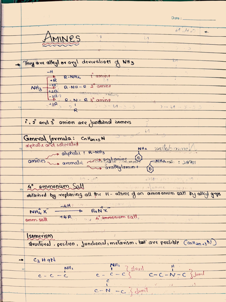 My Amines Notes | PDF