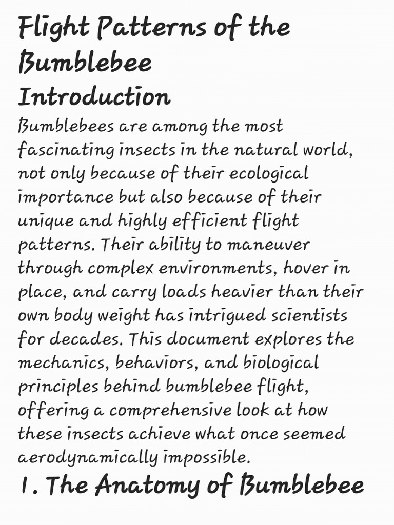 Flight Patterns of Bumble Bees | PDF