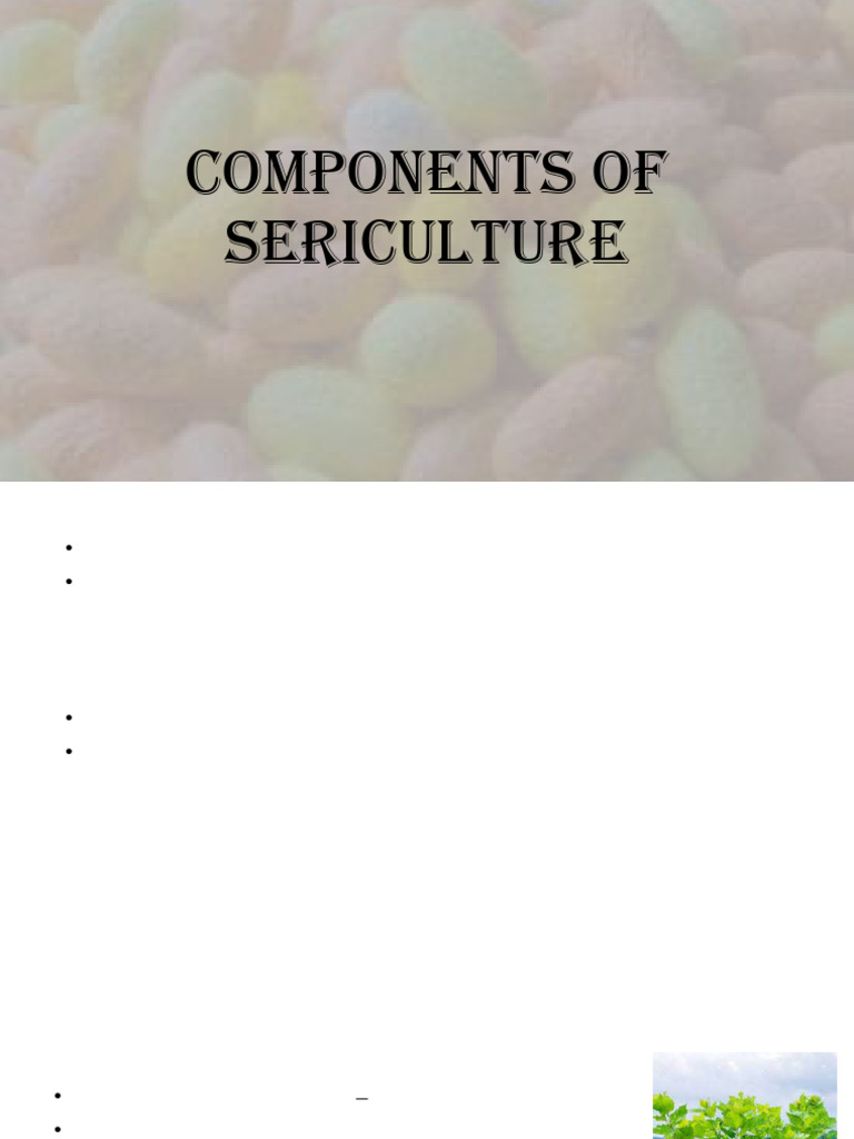 Components of Sericulture - 2 | PDF | Pupa | Silk
