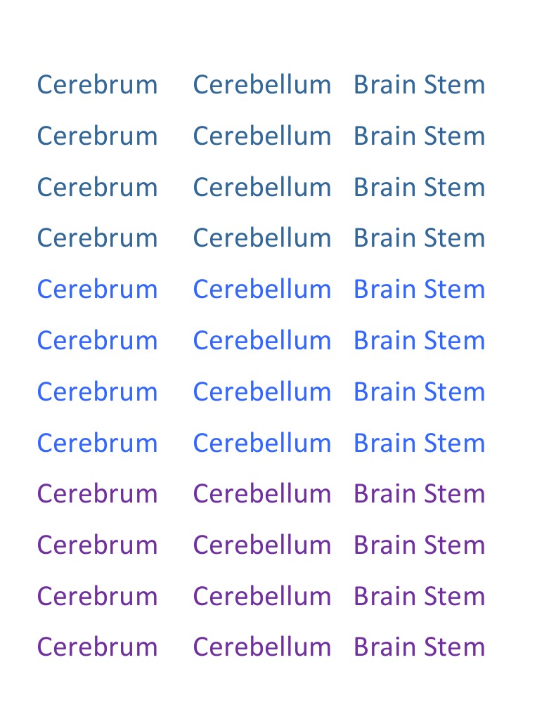 Brain Anatomy Overview: Cerebrum, Cerebellum, Brain Stem | PDF