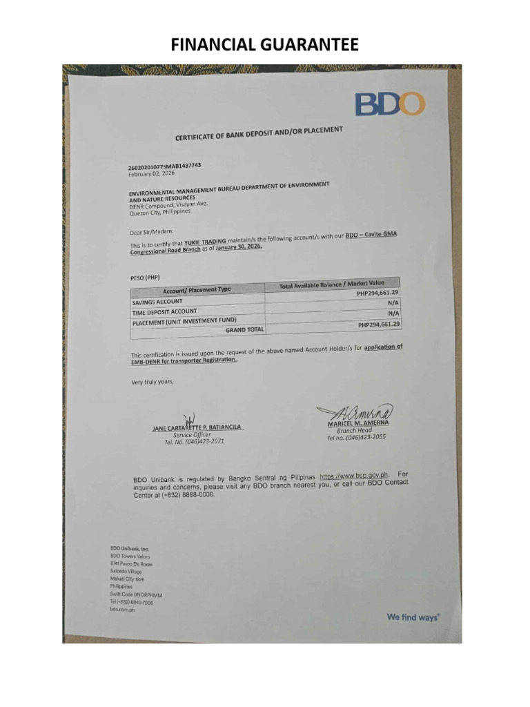 Financial Guarantee | PDF