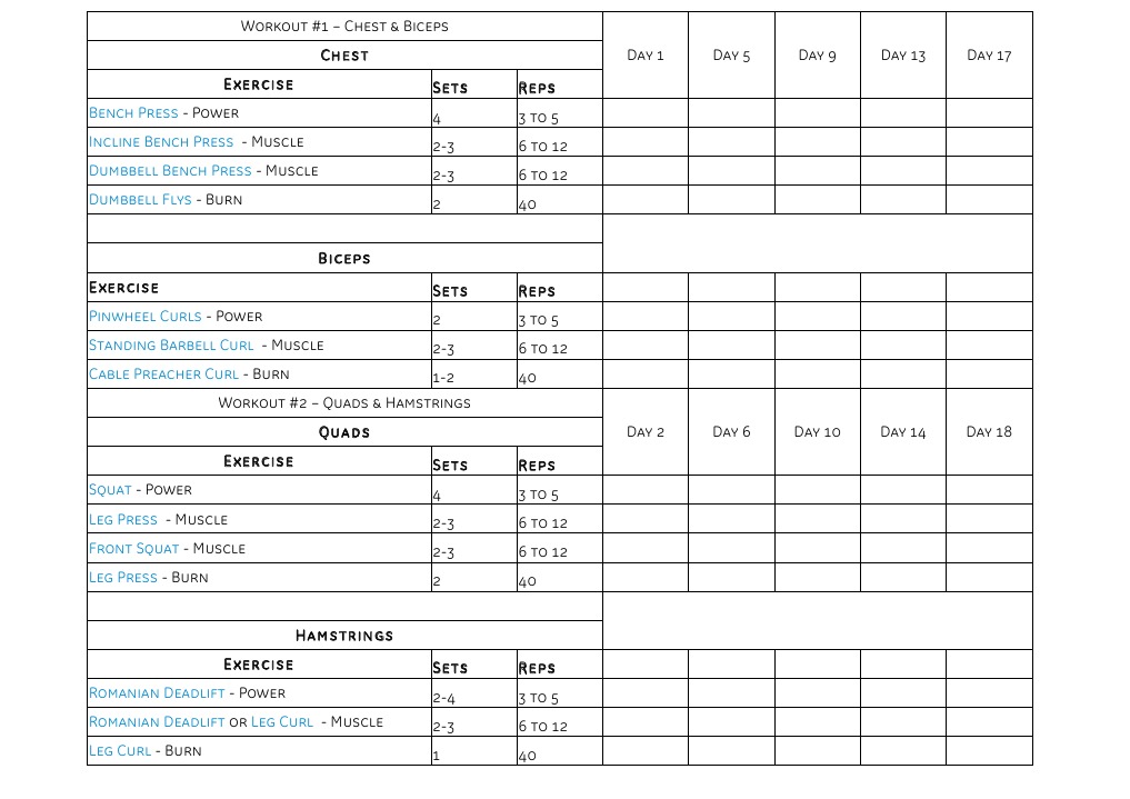 Comprehensive Workout Plan Overview | PDF | Wellness