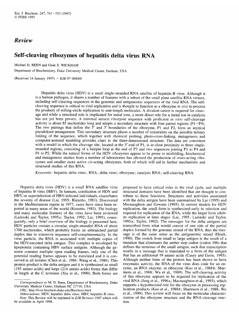 1997 Been - Self Cleaving Ribozymes of Hepatitis Delta Virus RNA | PDF ...