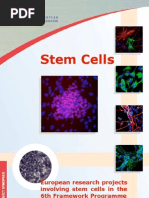 Download Stemcell Eu Research Projects by stahmad1983 SN100195183 doc pdf