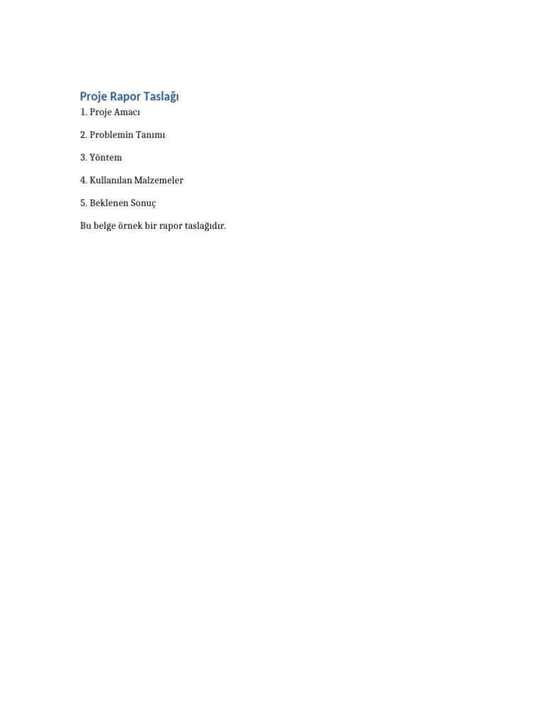 Ornek Rapor | PDF