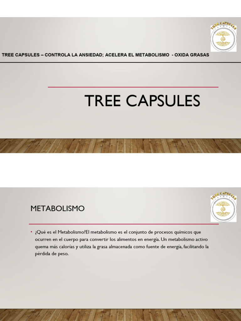 Presentacion Tree Caps | PDF | Leptina | Metabolismo