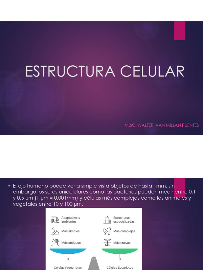 Estructura Celular | PDF | Citoplasma | Biología Celular)