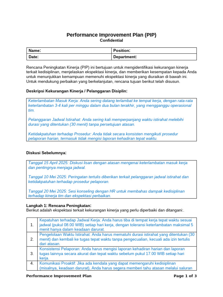 Performance Improvement Plan (PIP) | PDF