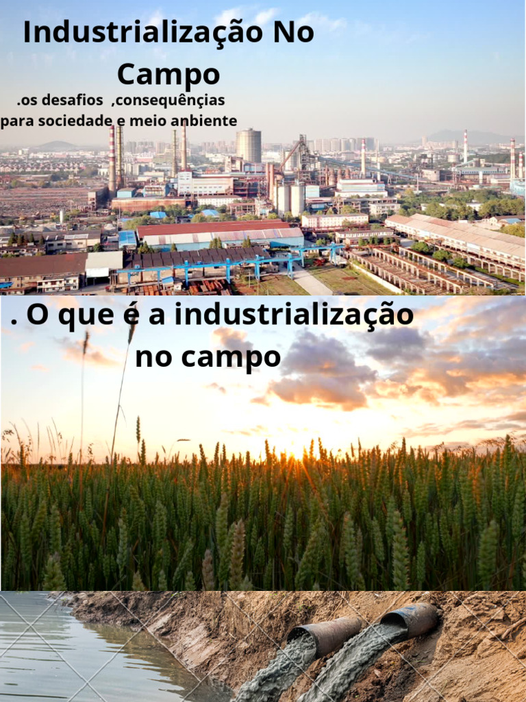 A Industrialização No Campo Refere-se à Introdução de Técnicas e ...
