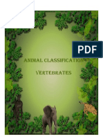 Animal Classification - Vertebrates