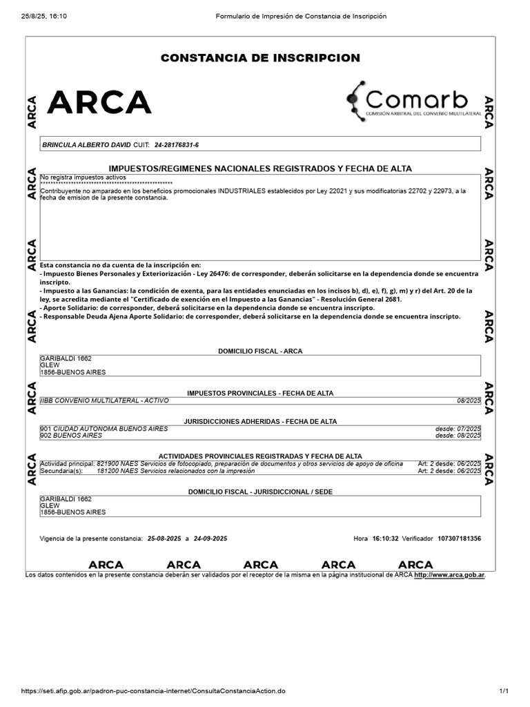 AFIP - Administración Federal de Ingresos Públicos | PDF