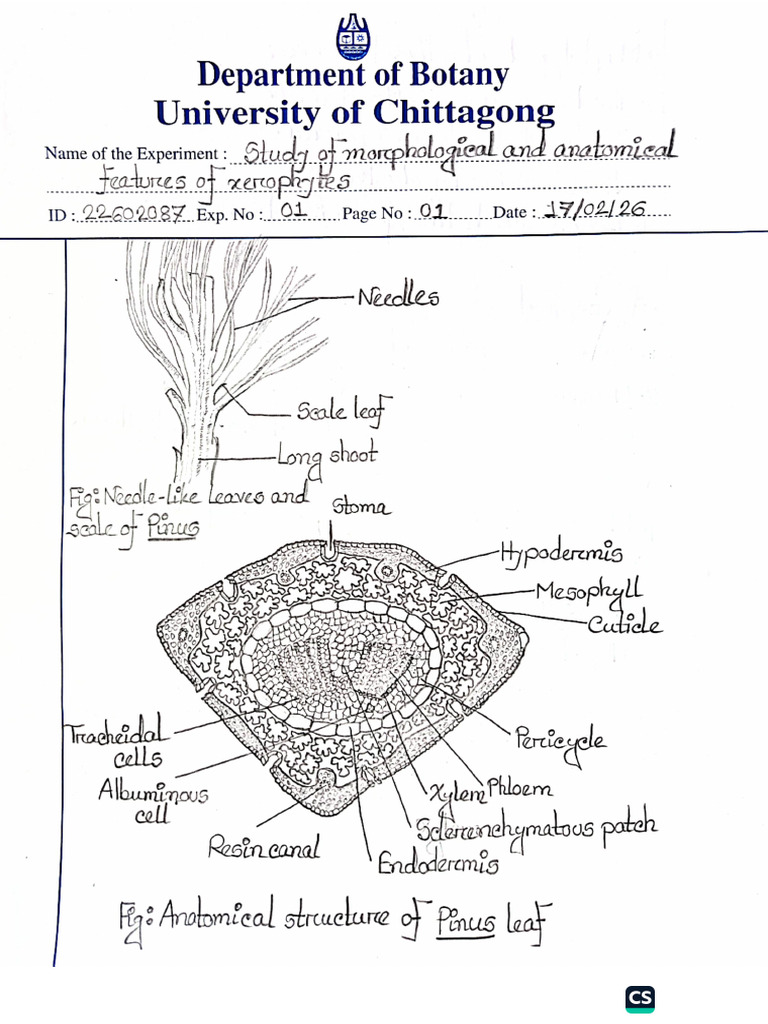 Ecology Practical | PDF