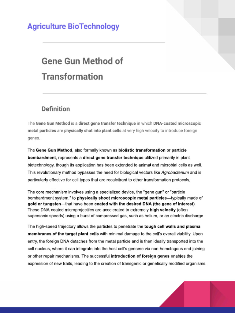 Gene Gun Method of Transformation | PDF