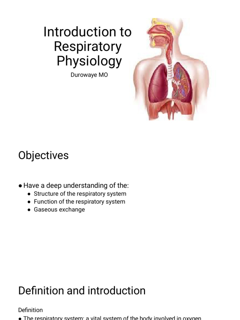 Introduction To Respiratory Physiology 3 | PDF | Respiratory Tract | Lung
