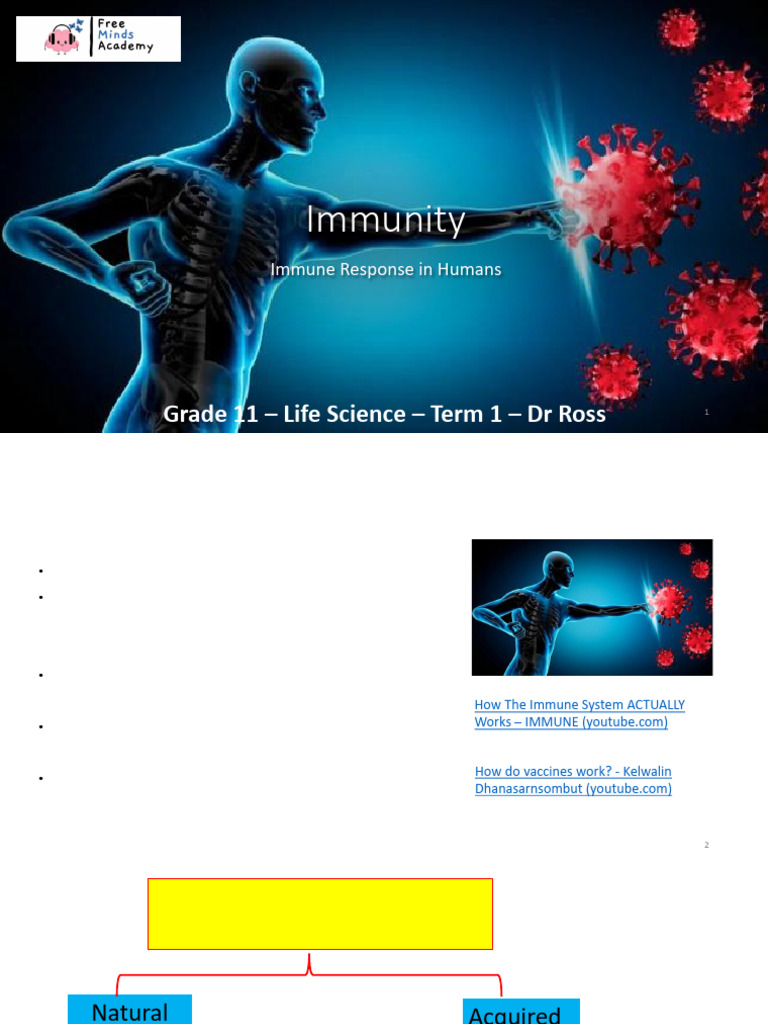 5 - Term 1 - Immunity-1 | PDF | Vaccines | Immune System