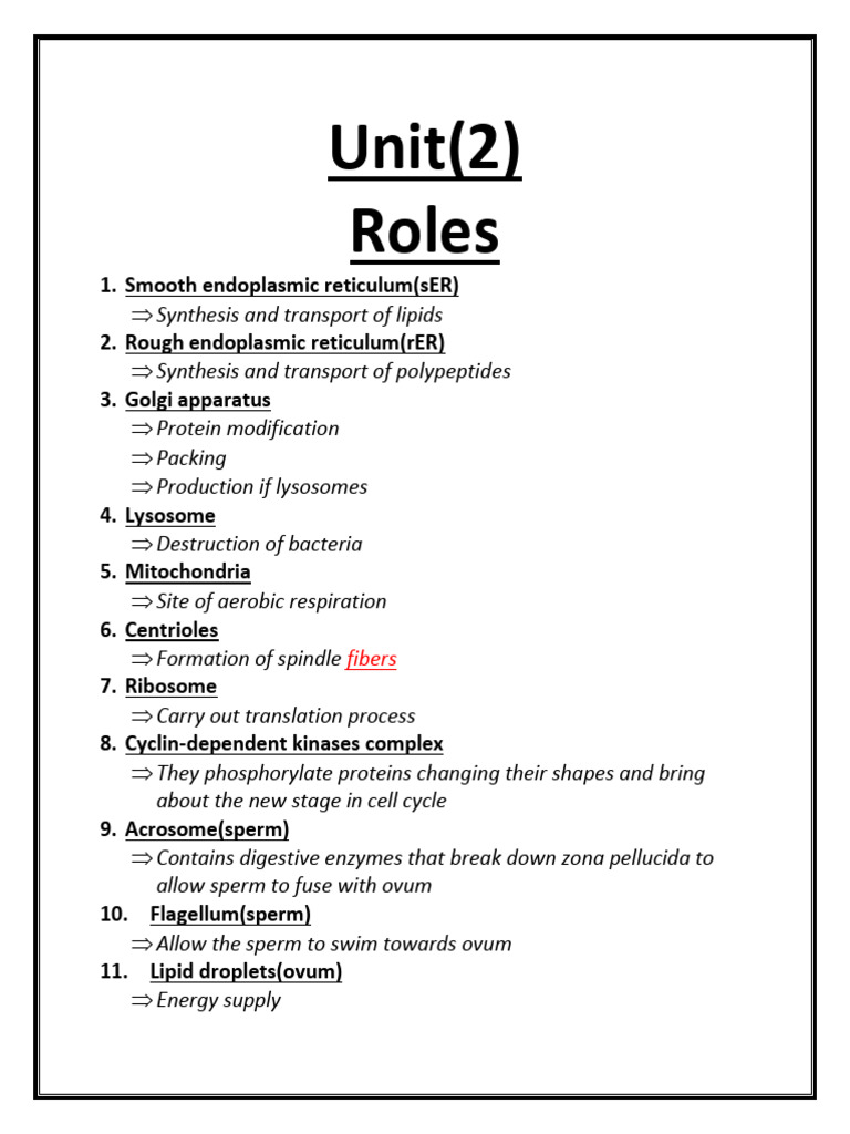 Unit 2 Roles | PDF