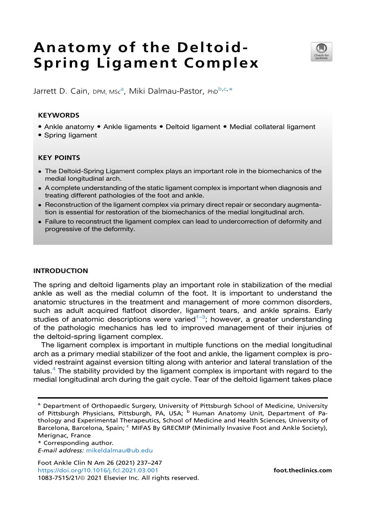 Anatomy of The Deltoid Spring Lig Complex Cain2021 | PDF | Ankle | Foot