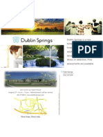 Dublin Springs-Open House Postcards