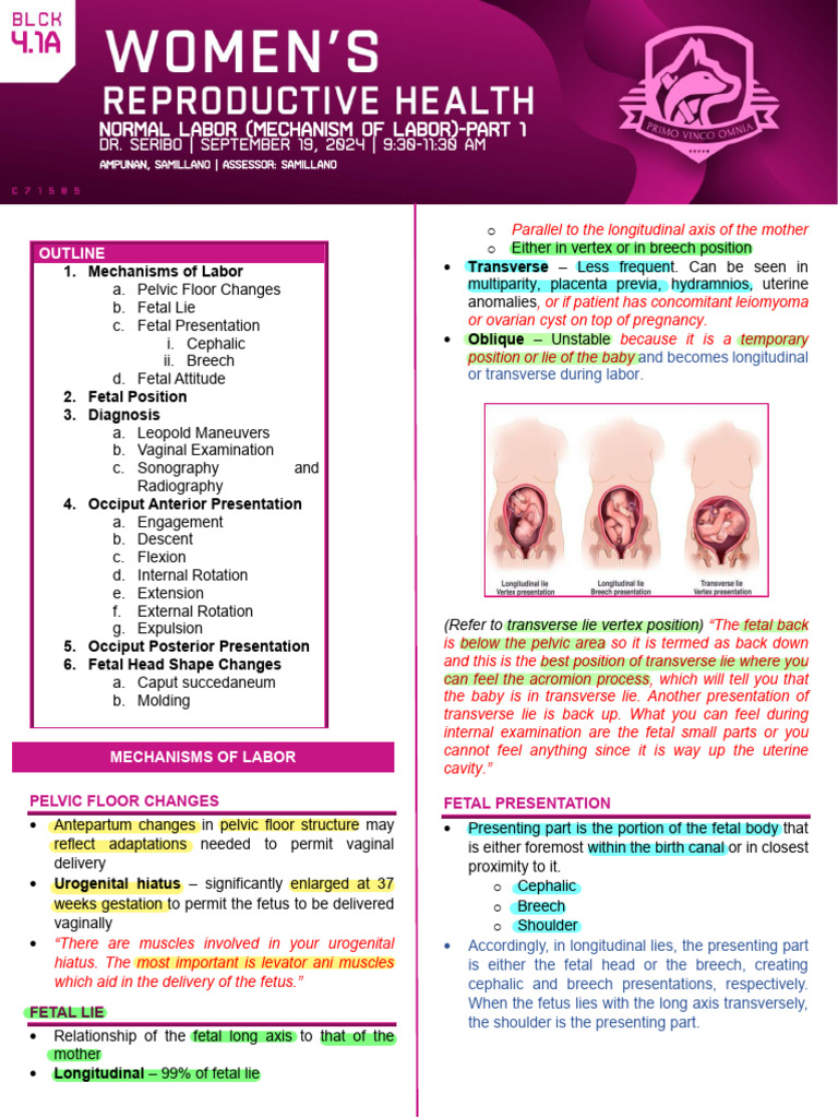 WRH-Block 4.1A-Normal Labor (Mechanism of Labor) - Part 1 | PDF ...