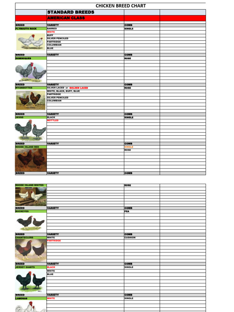 Chicken Breeds | PDF | Poultry | Domesticated Birds
