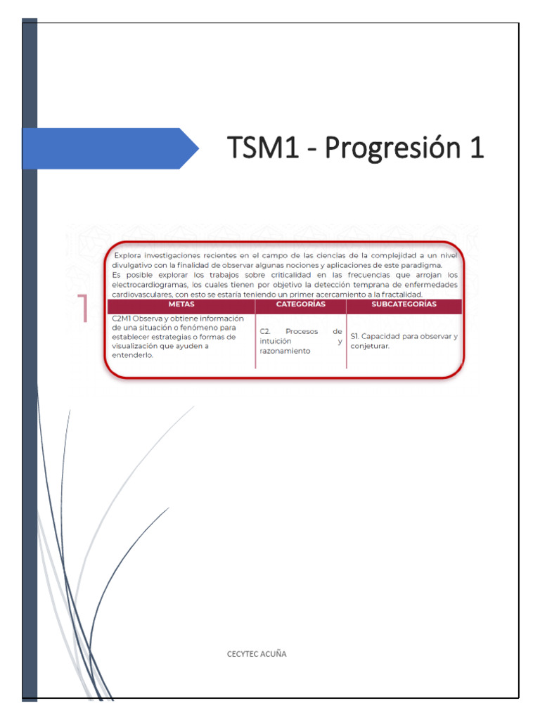Cuadernillo de Actividades TSM1 P1 | PDF | Fractal