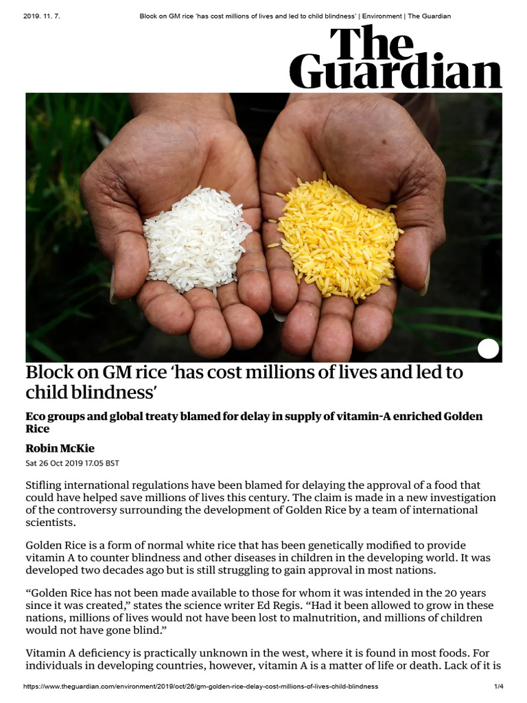 Block On GM Rice | PDF | Biology