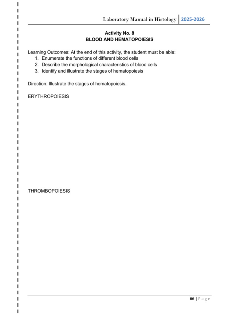 #8 - Activity & Report (Blood and Hematopoiesis) | PDF