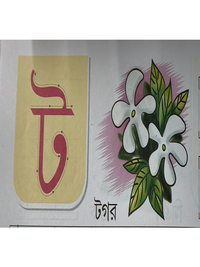 Bengali Letters With Pictures | PDF