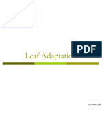 Leaf Adaptation: D. Crowley, 2008