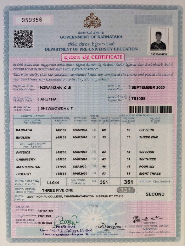 PUC Marks Card | PDF