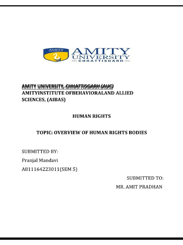 Human Rights Assignment | PDF