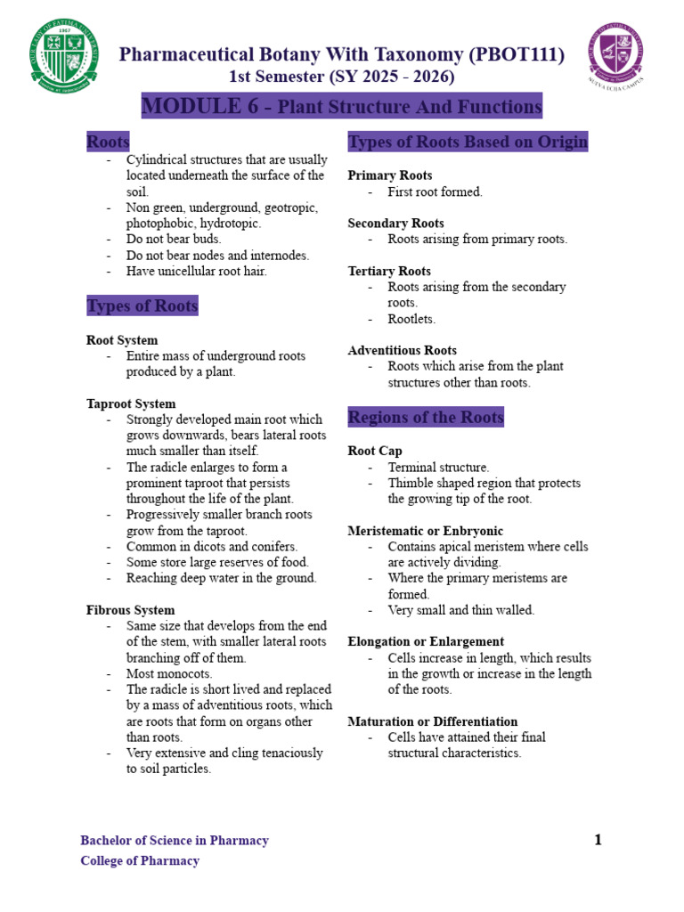 Module 6 - Botany Reviewer | PDF | Root | Tissue (Biology)
