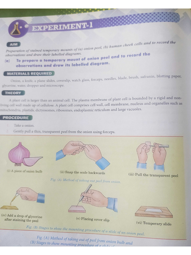 Class 9 Bio Experiment 1 | PDF