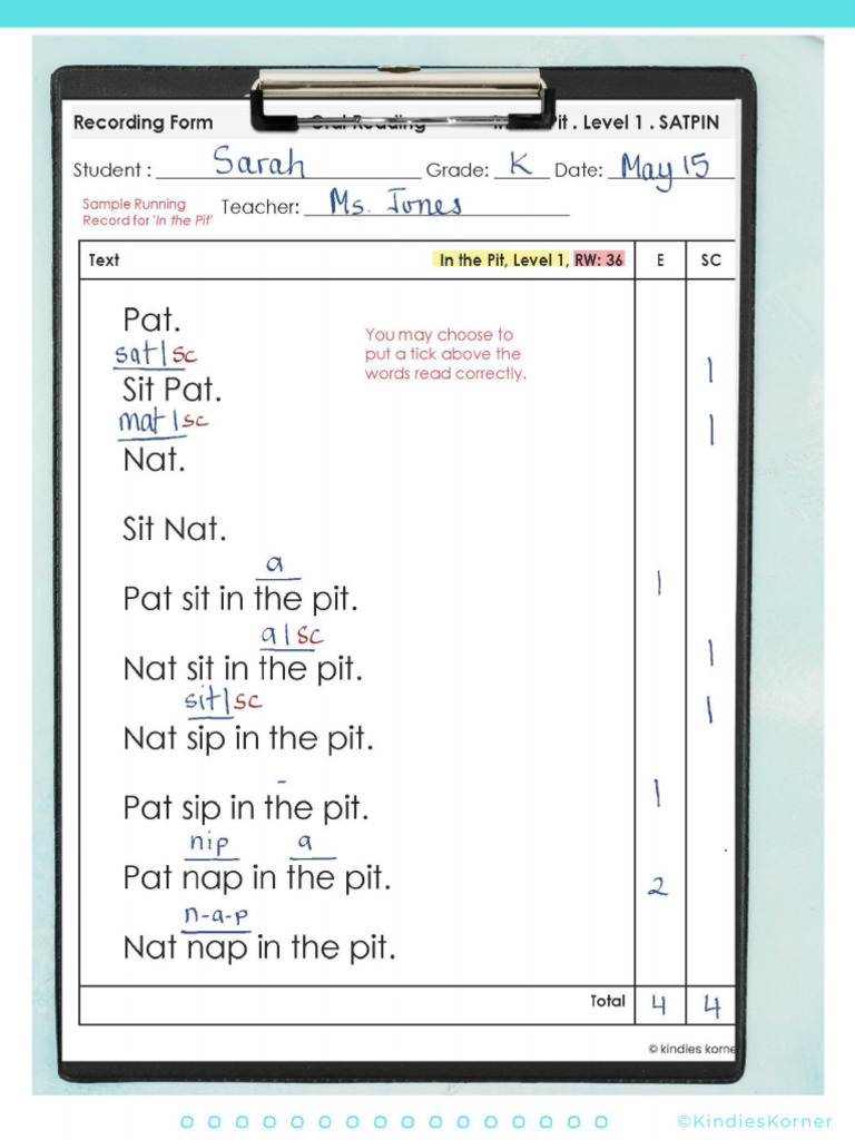 7 Reading Record Reading Assessment | PDF | Fluency | Text