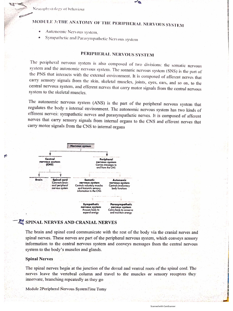 S3 Phy Mod 3&4 | PDF