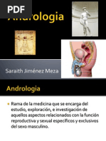 Andrologia para Presentar!!!!!!!!!! | PDF | Ciencias de la Salud ...