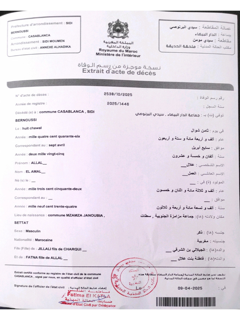 New Document | PDF