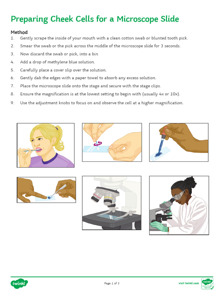 Cheek Cell Microscope Practical | PDF