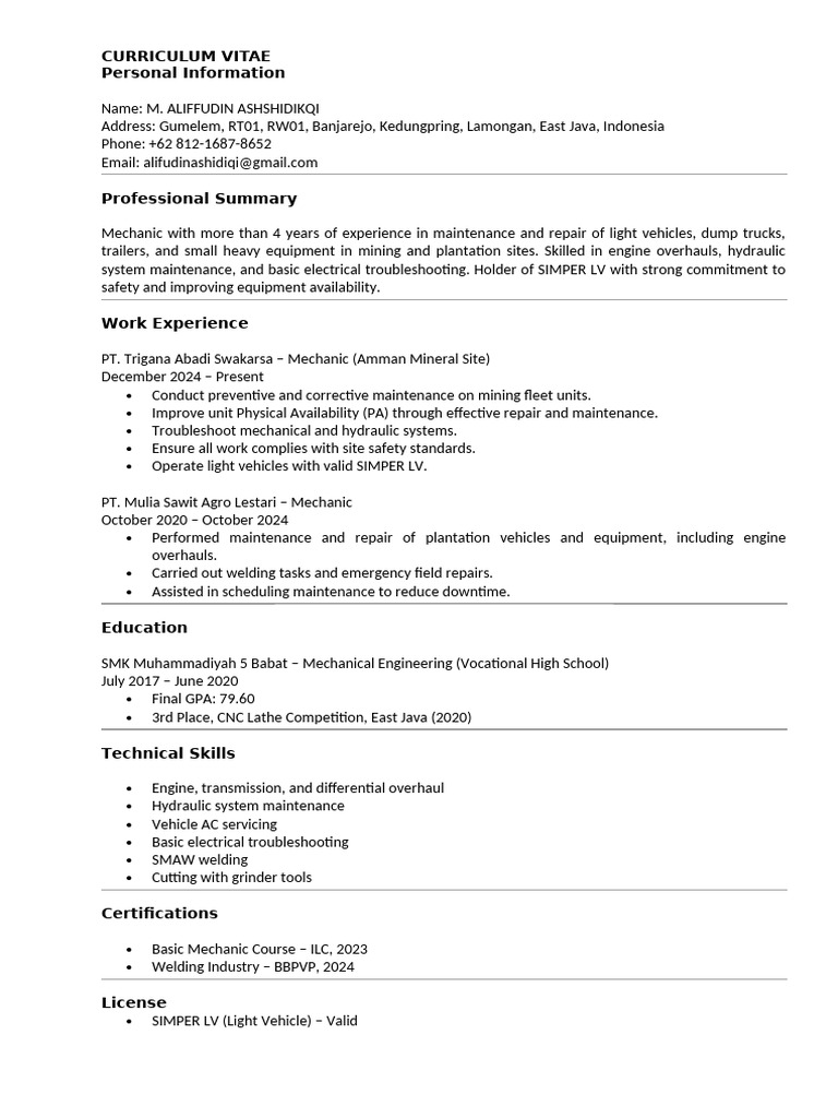 New CV | PDF