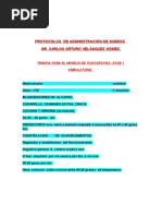 Download Protocolos Detox Dr Carlos a Velazquez by Luis Carlos Zamora Cano SN100232383 doc pdf