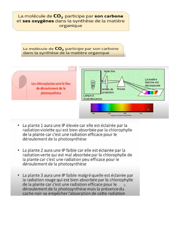 Science | PDF