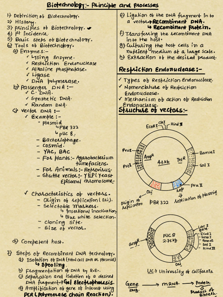 Biotechnology - Principle and Process..... | PDF | Molecular Cloning ...
