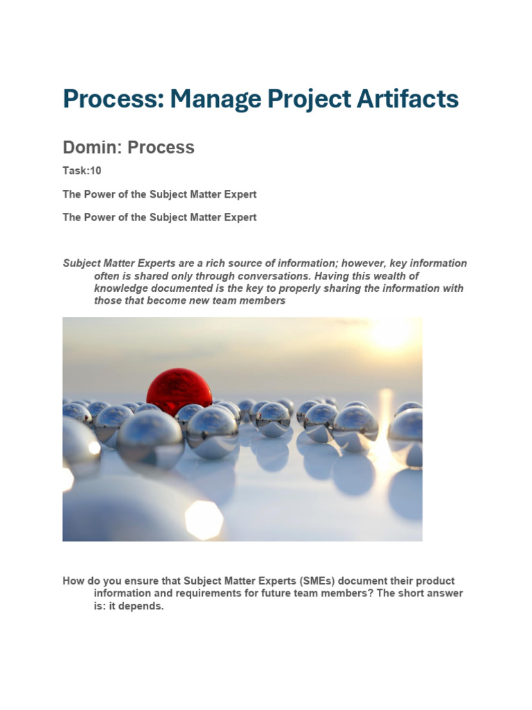 10 Process Manage Project Artifacts | PDF